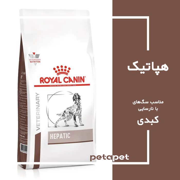Royal-Hepatic-Dog
