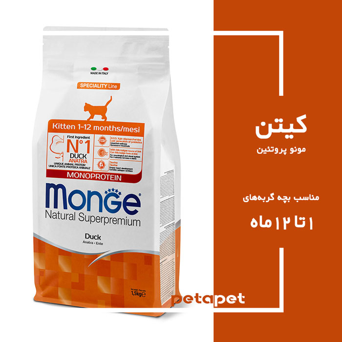 Monge-kitten-Mono