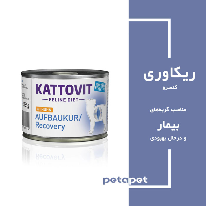 Recovery3