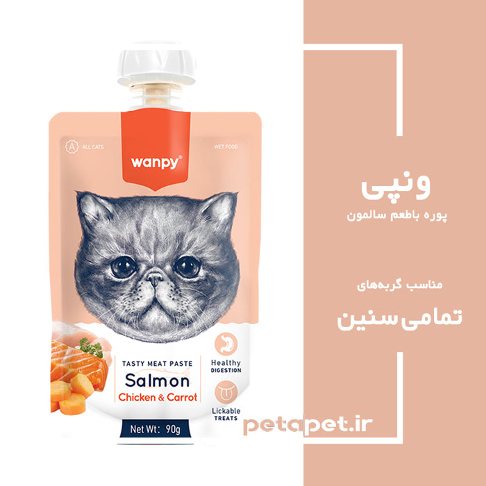 Wanpy-Salmon1