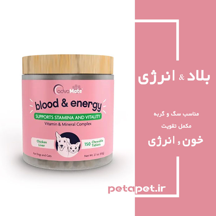 Blood-&-Energy