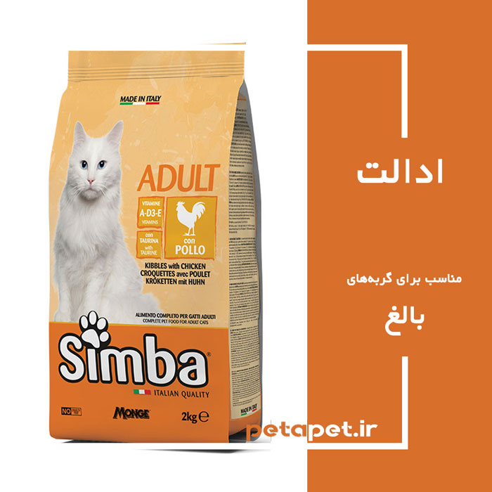 Adult-Simba