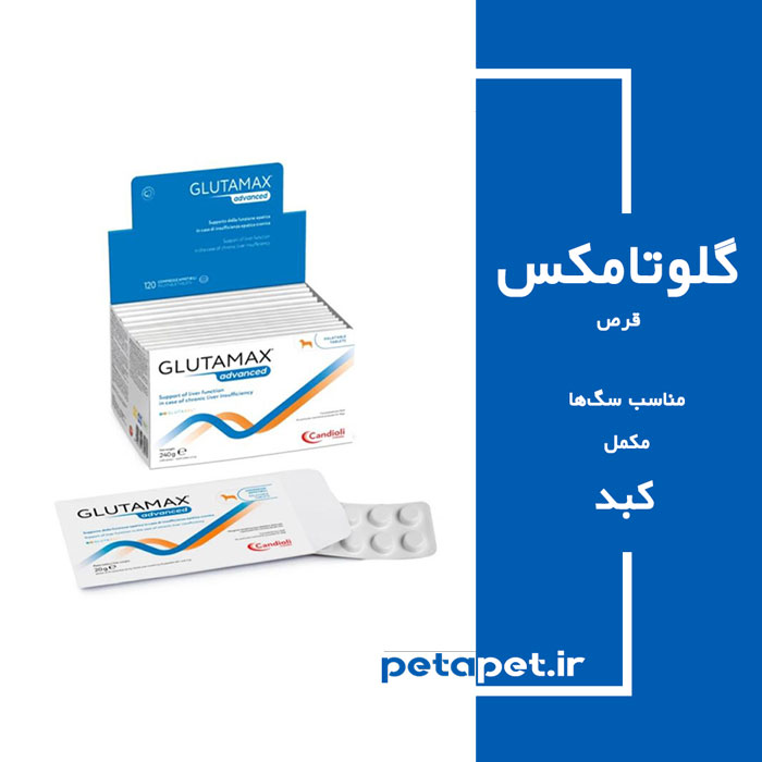 Glutamax-Dog