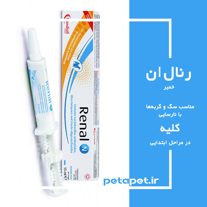 Renal-N
