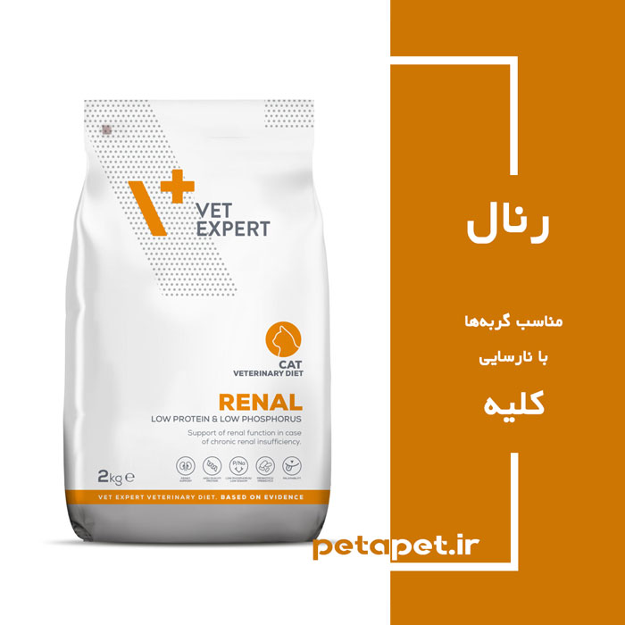 Renal-Dry2